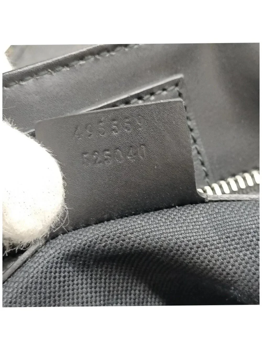 Gucci statement bengal